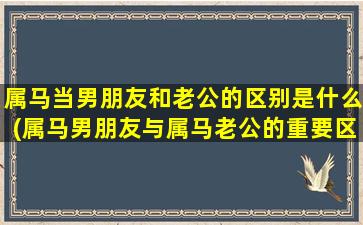 属马当男朋友和老公的区别是什么(属马男朋友与属马老公的重要区别 - 指南)